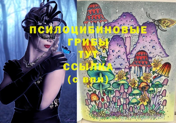 Альфа ПВП Белокуриха