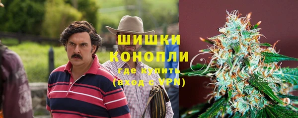 PSILOCYBIN Баксан