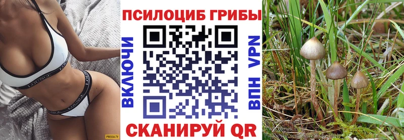 Галлюциногенные грибы мухоморы  купить закладку  Олёкминск 